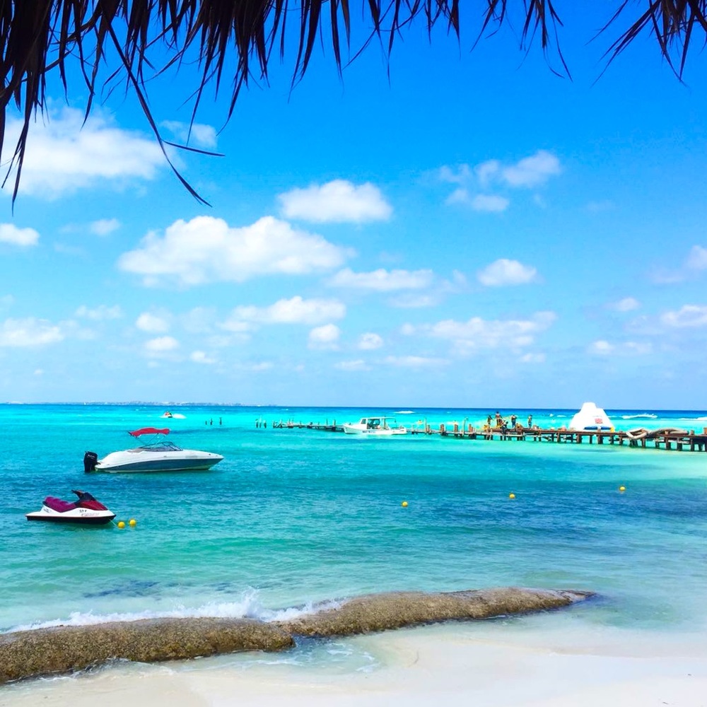 Meet your Posher, Judith